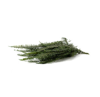 Fougère double stabilisée 8